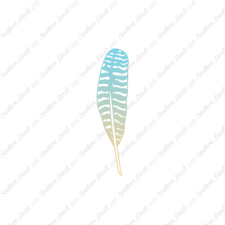 Turkey Bird Feather