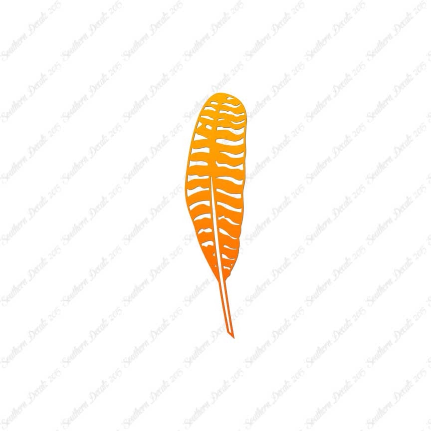 Turkey Bird Feather