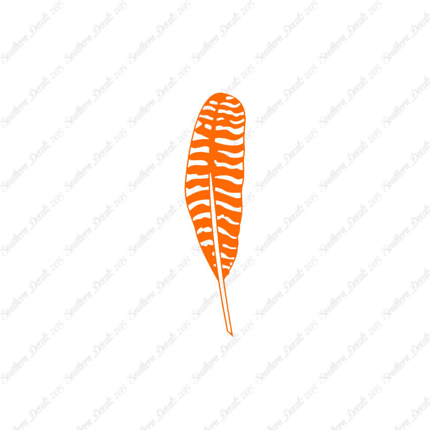 Turkey Bird Feather