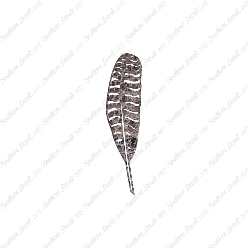 Turkey Bird Feather