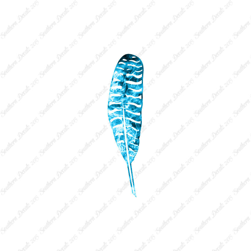Turkey Bird Feather