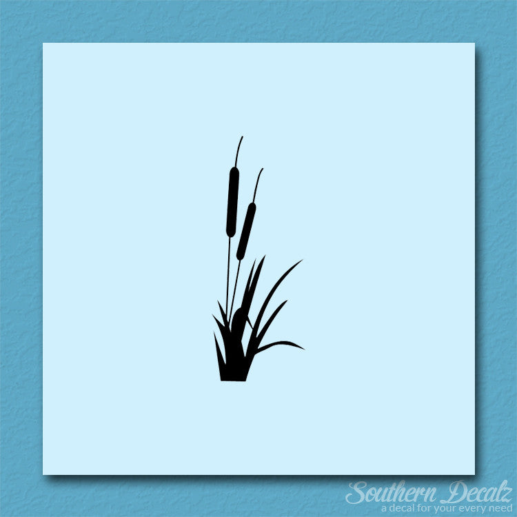Cattail Typha Water Plant