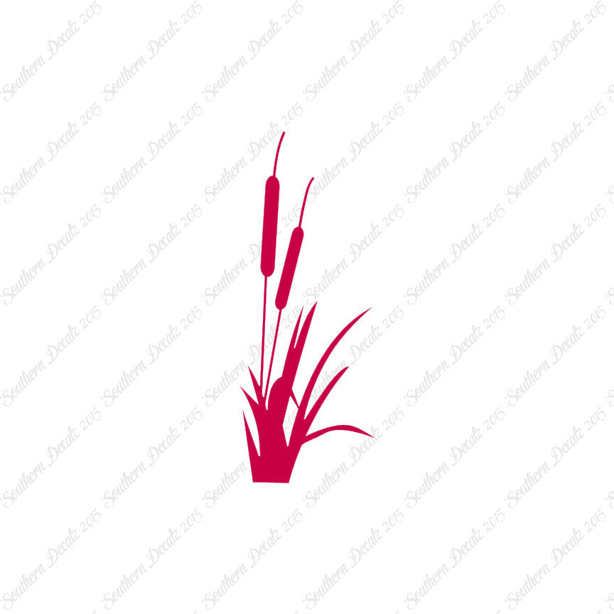 Cattail Typha Water Plant