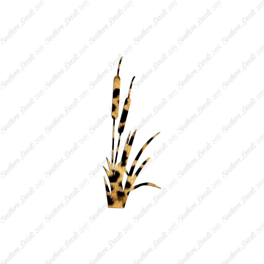 Cattail Typha Water Plant