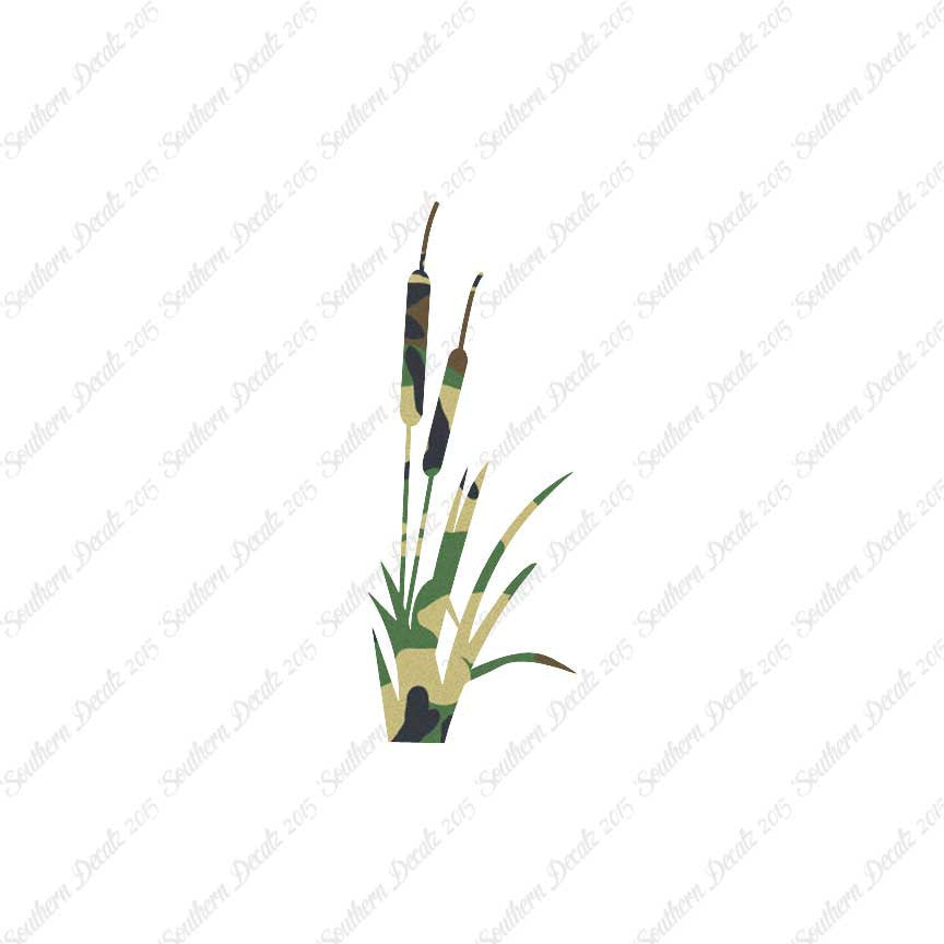 Cattail Typha Water Plant