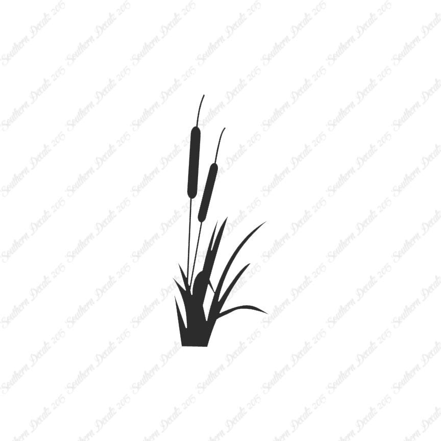 Cattail Typha Water Plant
