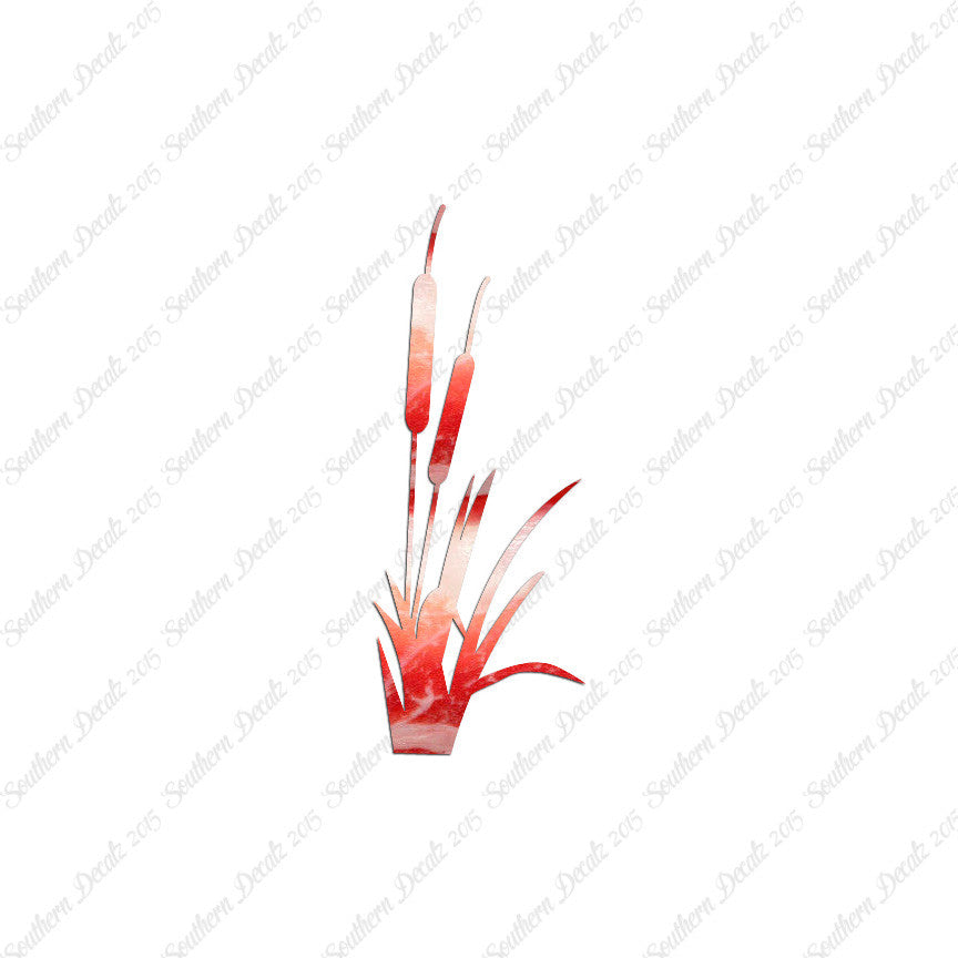 Cattail Typha Water Plant