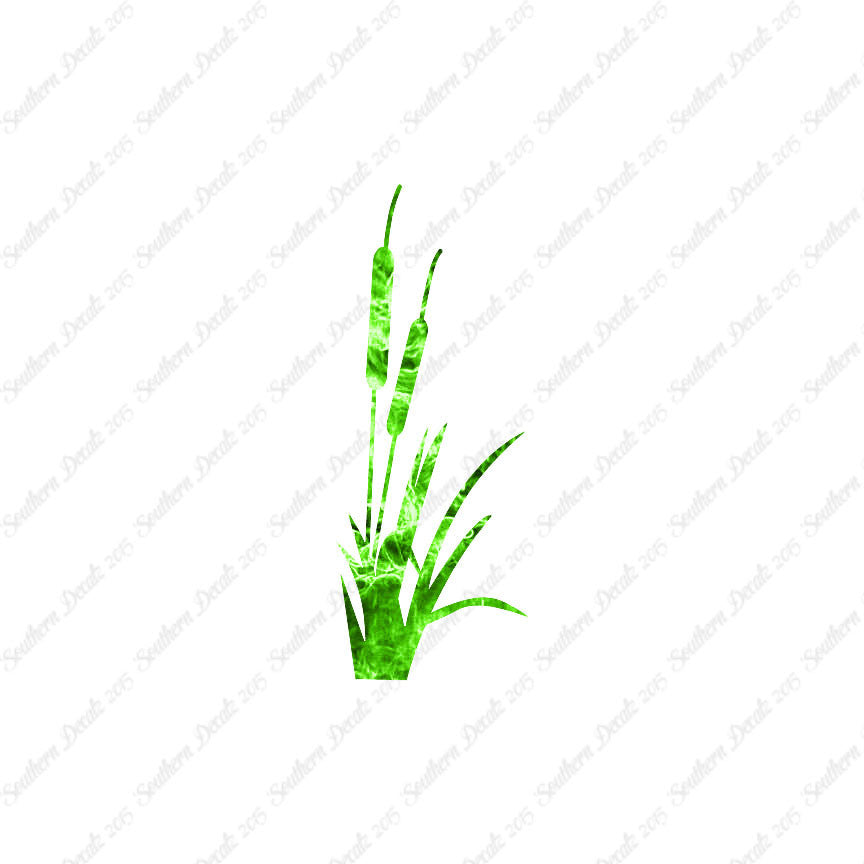 Cattail Typha Water Plant