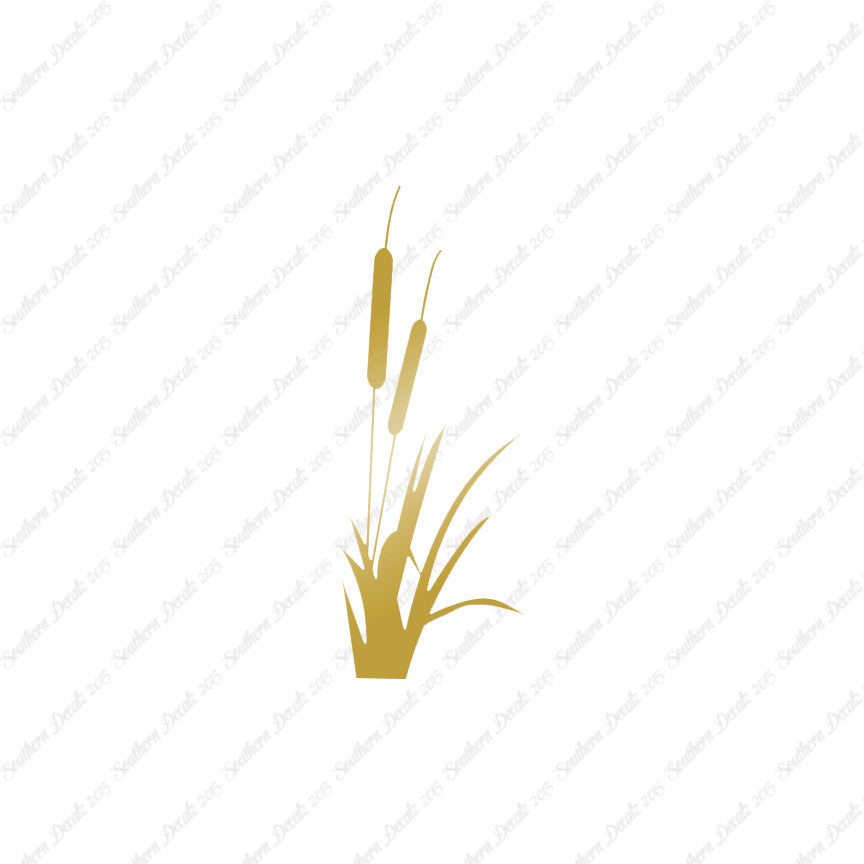Cattail Typha Water Plant