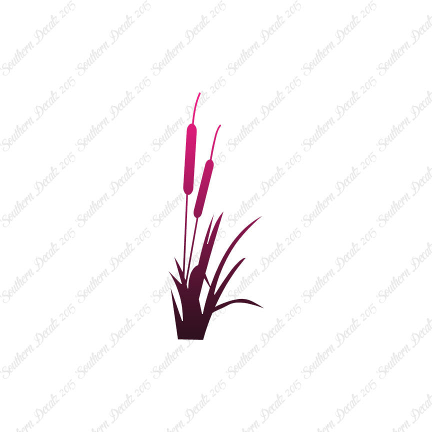 Cattail Typha Water Plant