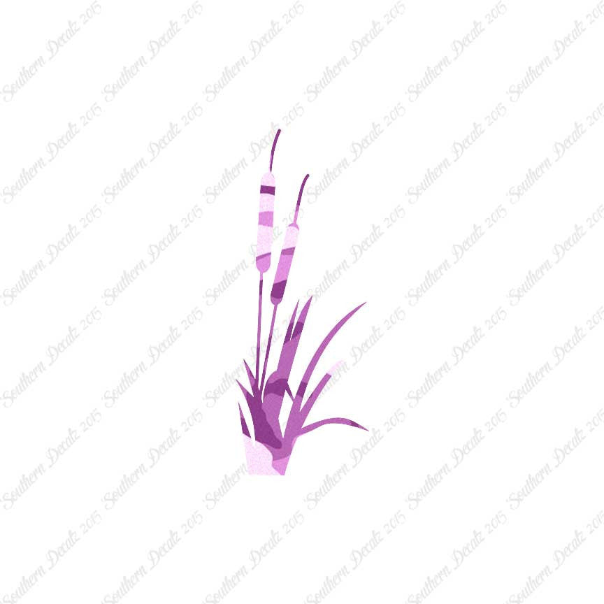 Cattail Typha Water Plant