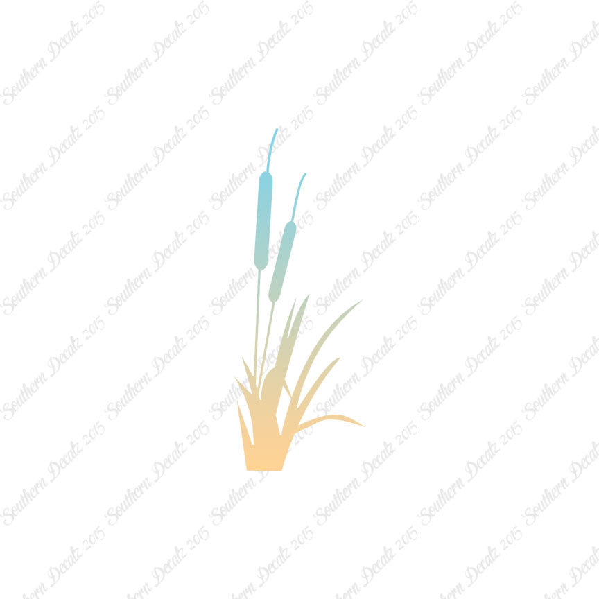 Cattail Typha Water Plant