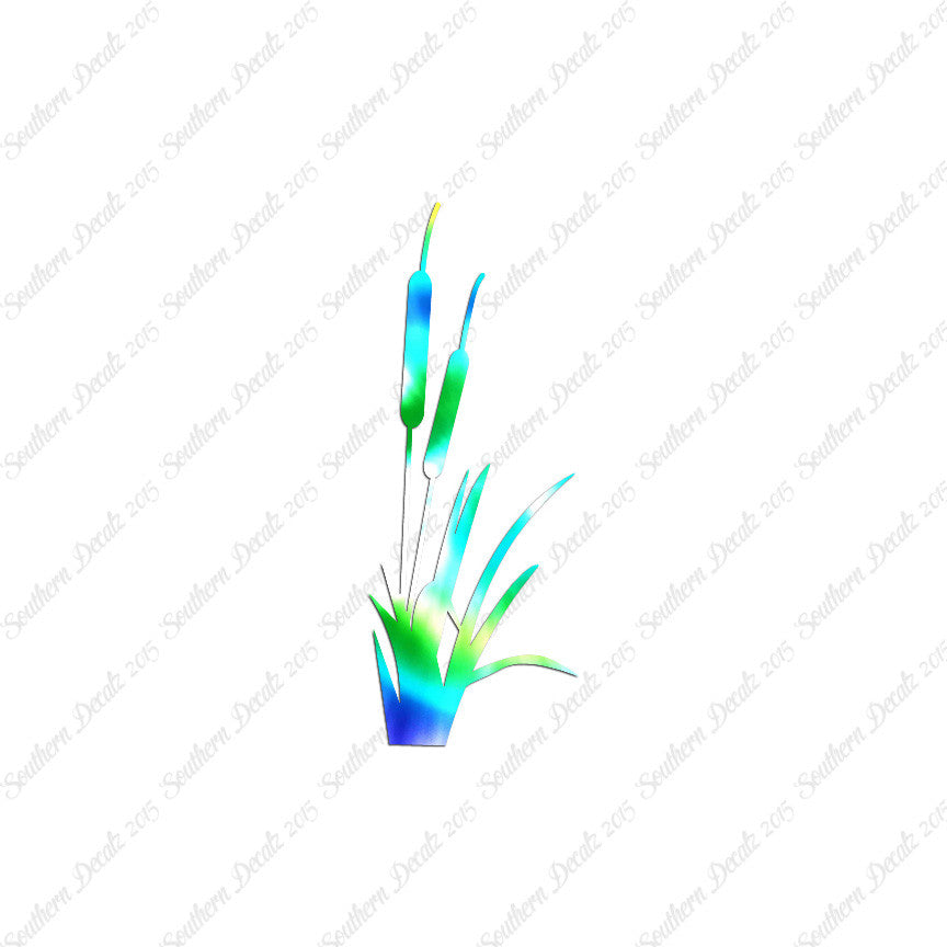Cattail Typha Water Plant