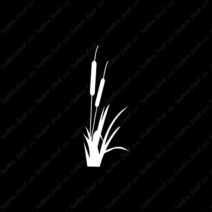 Cattail Typha Water Plant