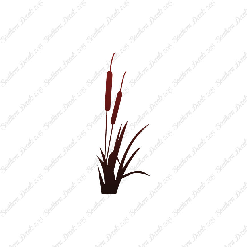 Cattail Typha Water Plant