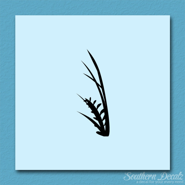 Water Plant Kelp