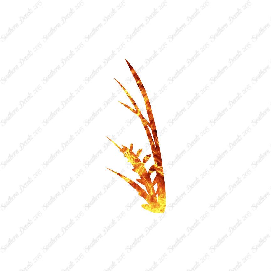 Water Plant Kelp