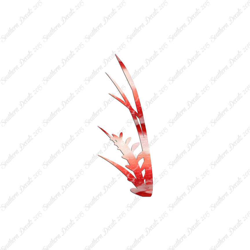 Water Plant Kelp