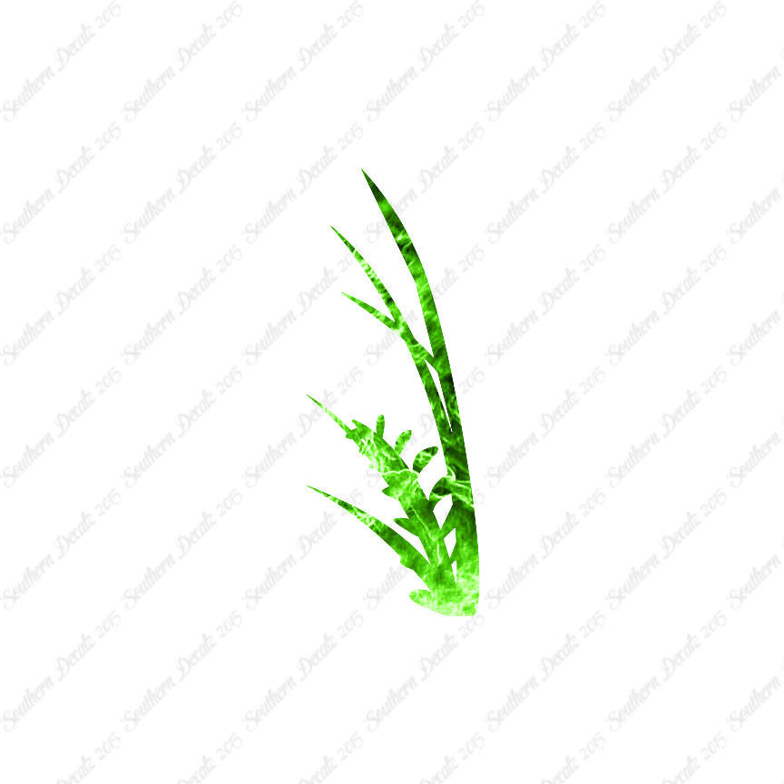 Water Plant Kelp
