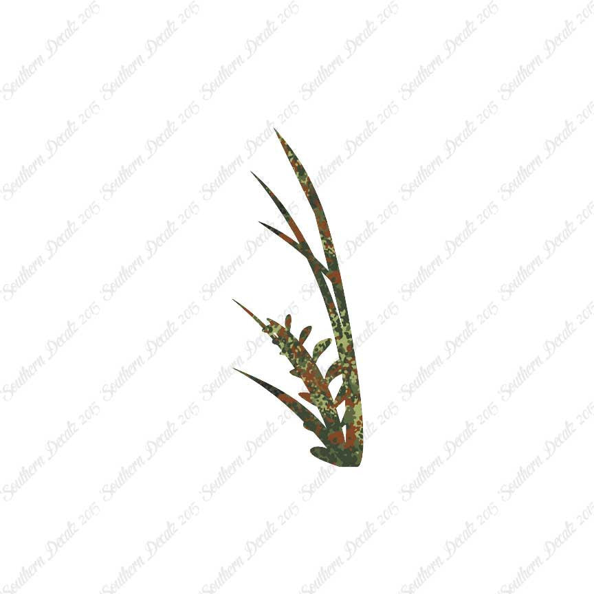 Water Plant Kelp