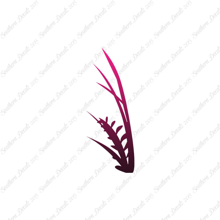 Water Plant Kelp