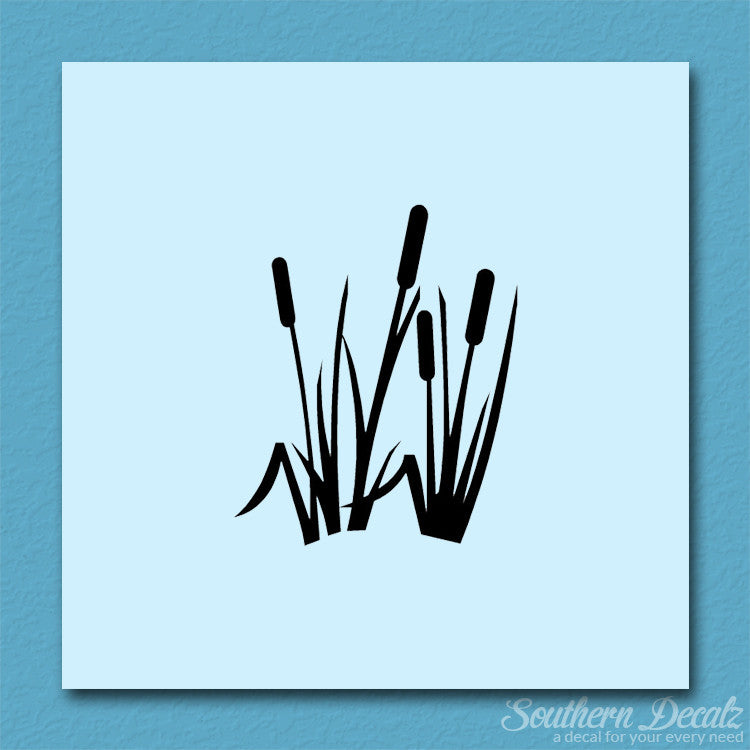 Typha Cattails Water Plant
