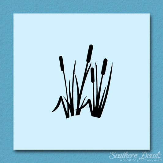 Typha Cattails Water Plant