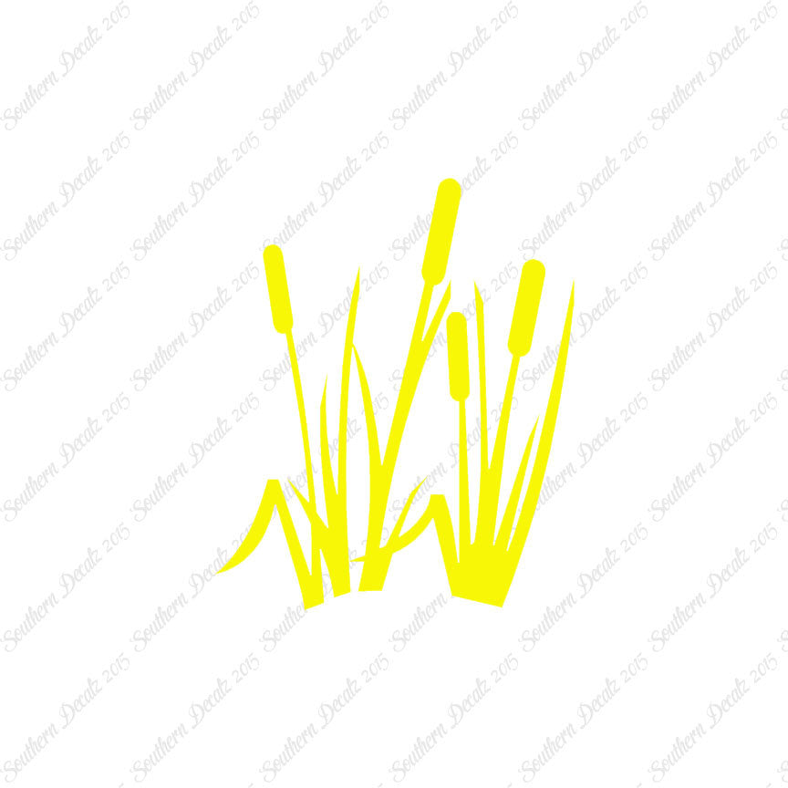 Typha Cattails Water Plant