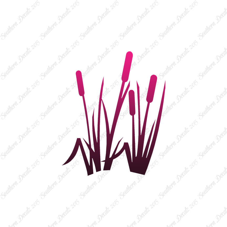 Typha Cattails Water Plant