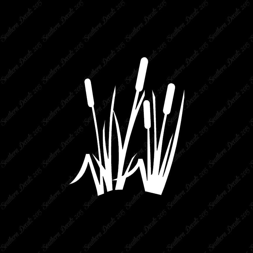Typha Cattails Water Plant