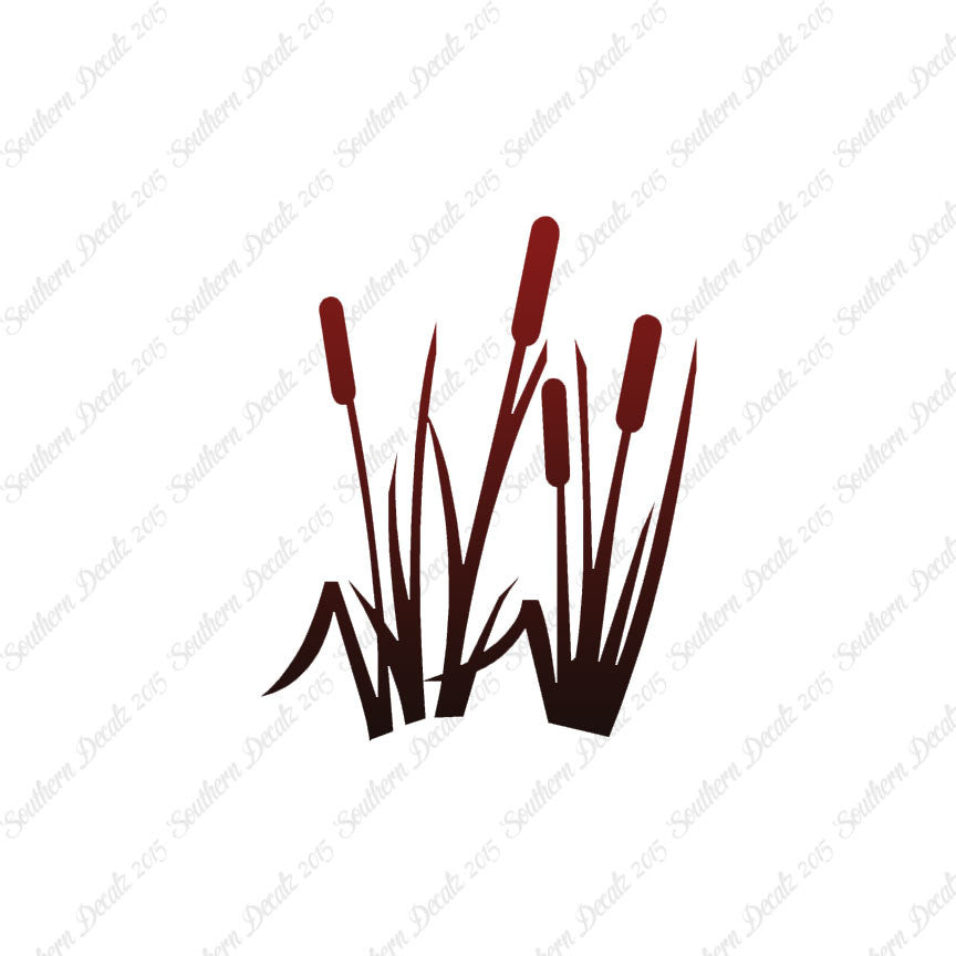 Typha Cattails Water Plant