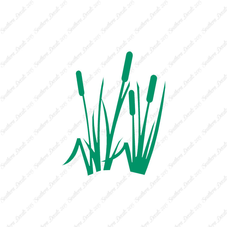 Typha Cattails Water Plant