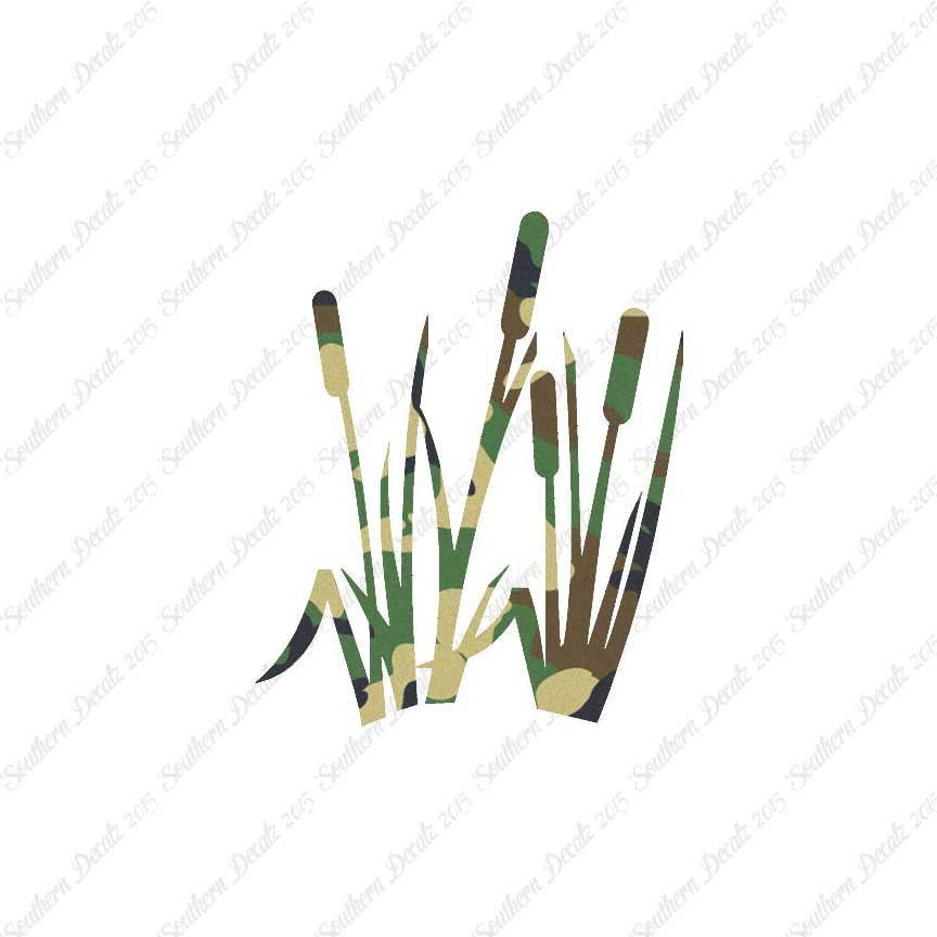 Typha Cattails Water Plant