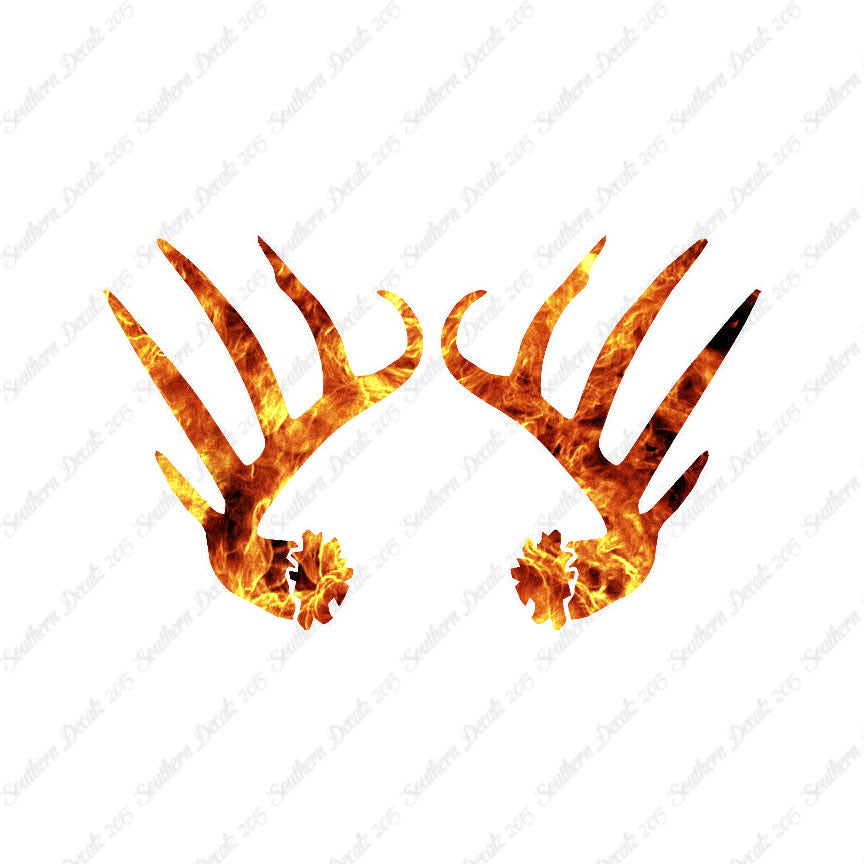 Elk Deer Antlers Hunting