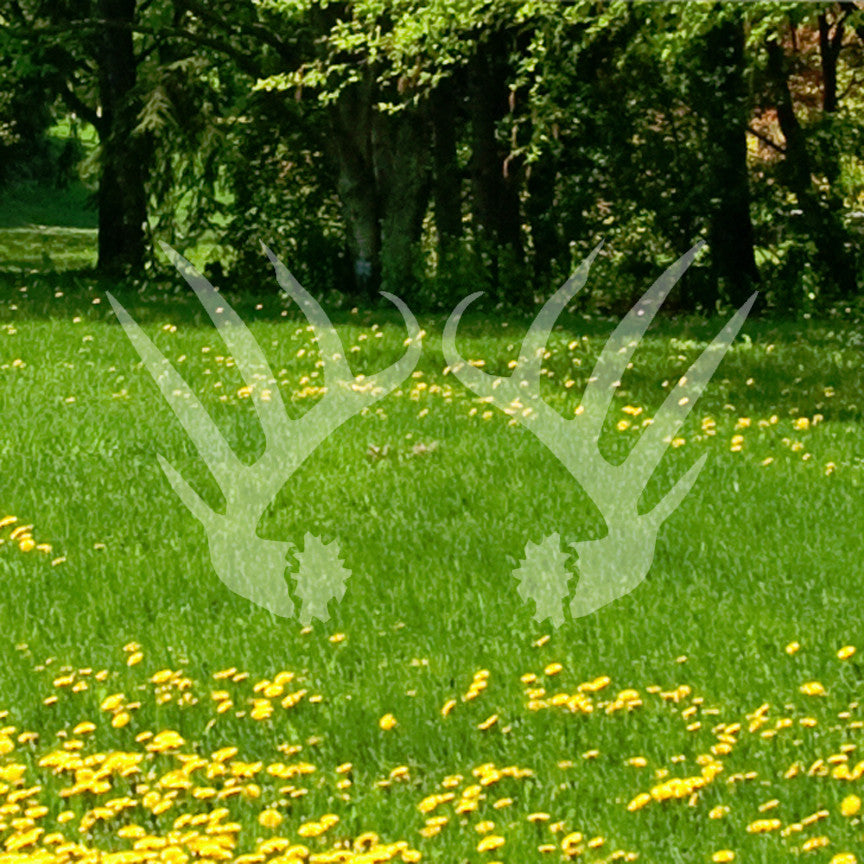 Elk Deer Antlers Hunting