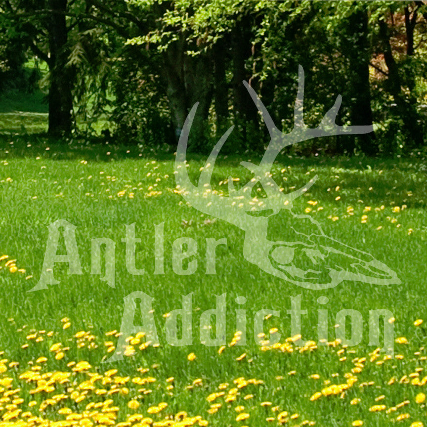 Antler Addiction Hunting