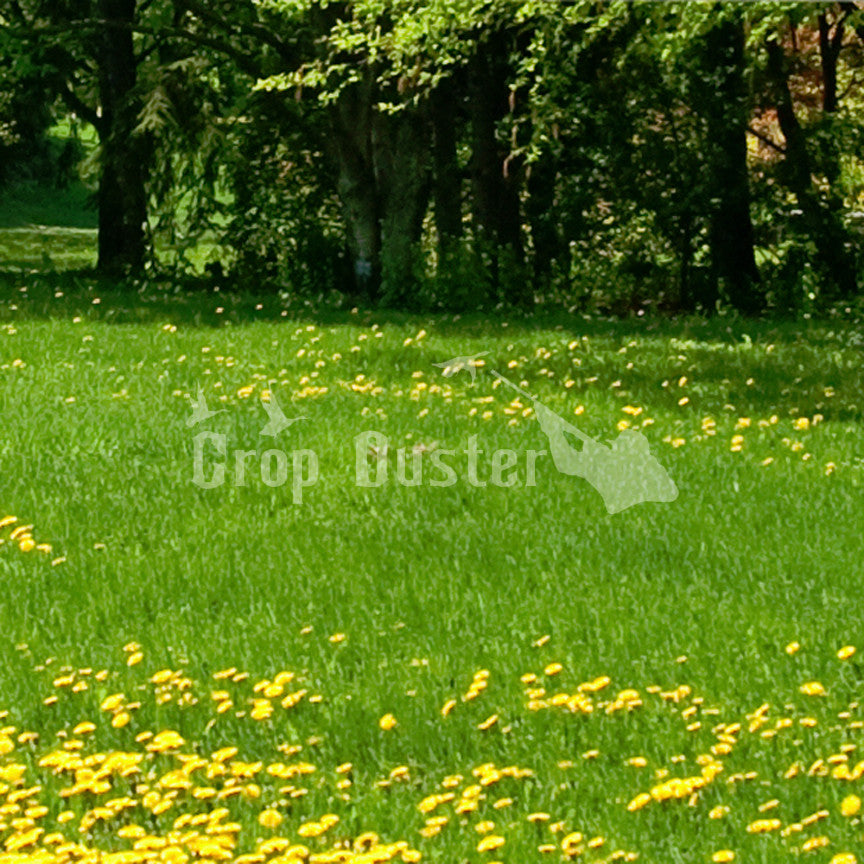 Crop Duster Duck Hunting