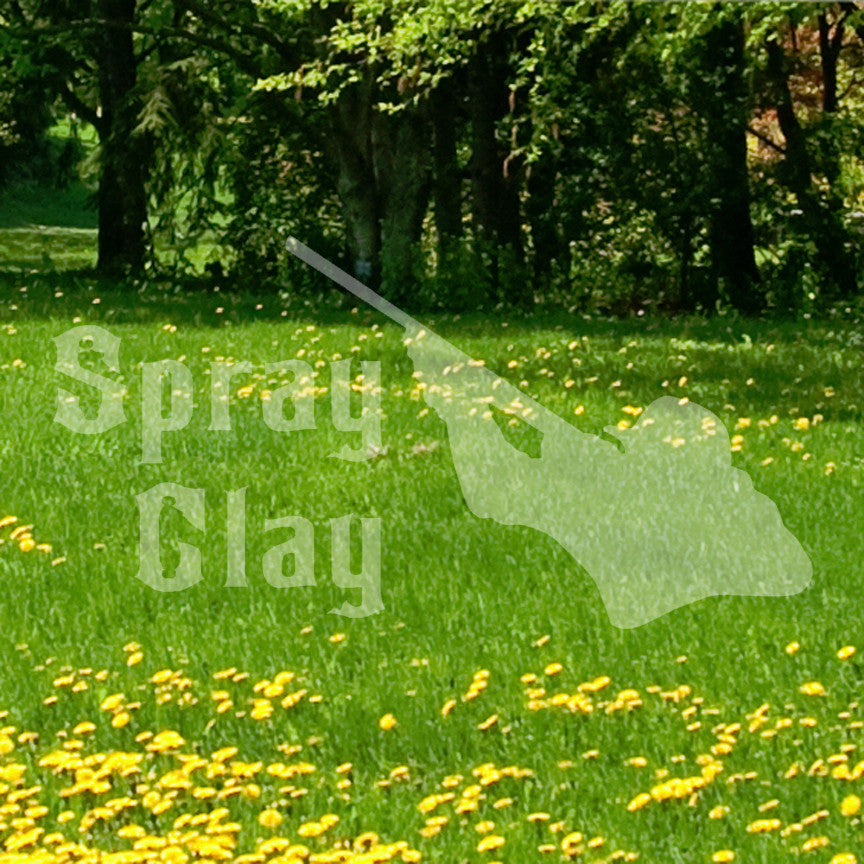 Spray Clay Shooting