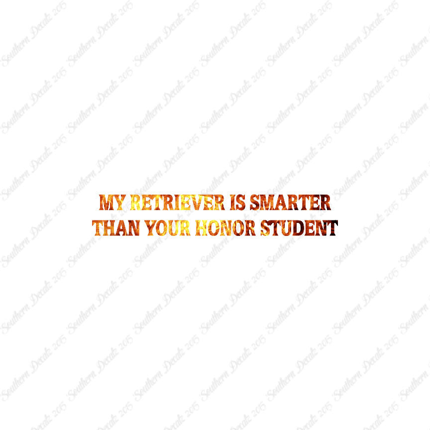 Retriever Smarter The Your Honor Student