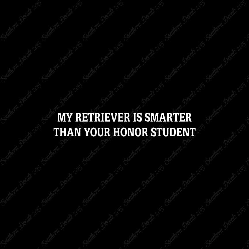 Retriever Smarter The Your Honor Student