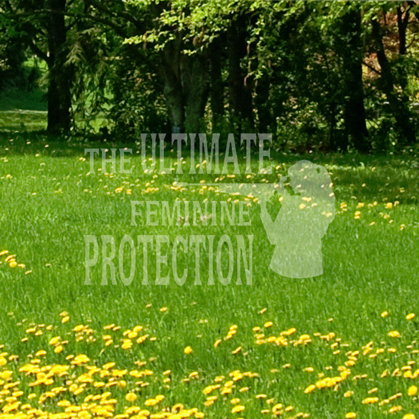 Ultimate Feminine Protection Gun