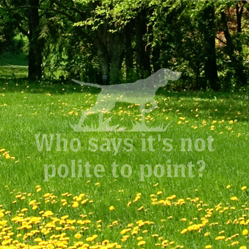 Not Polite To Point Hunting Dog