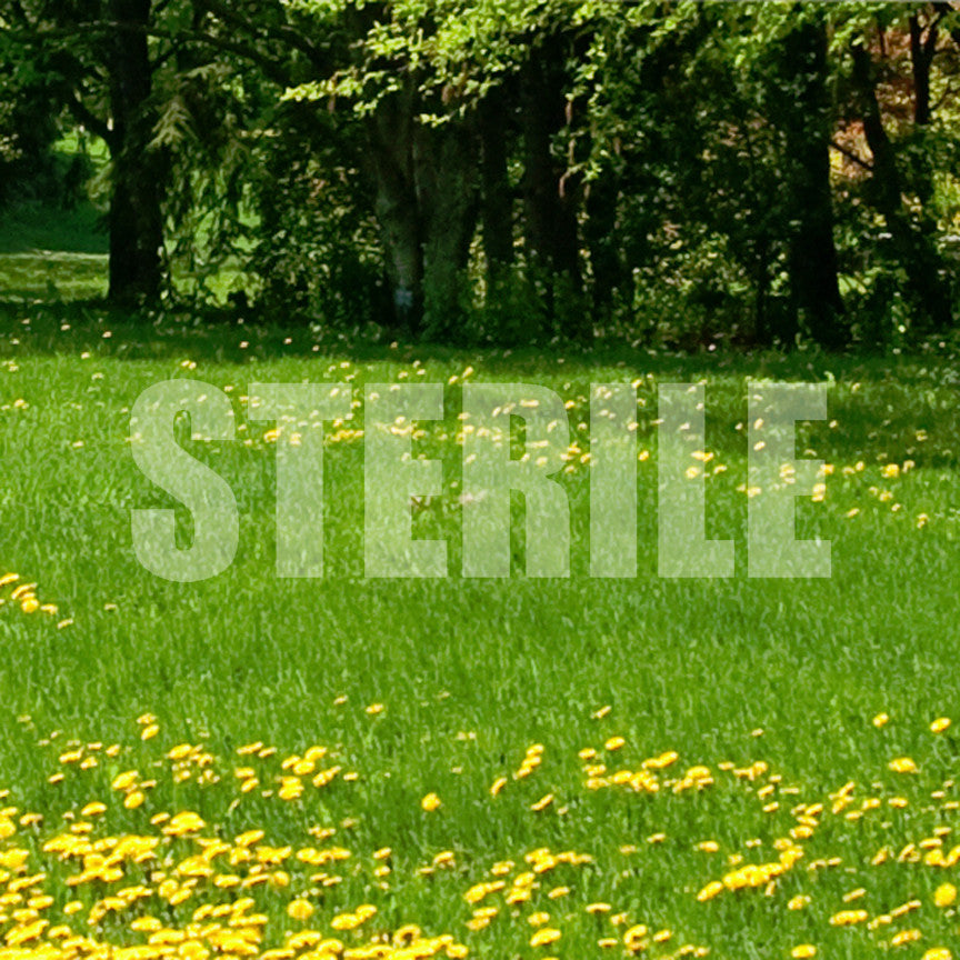 Sterile
