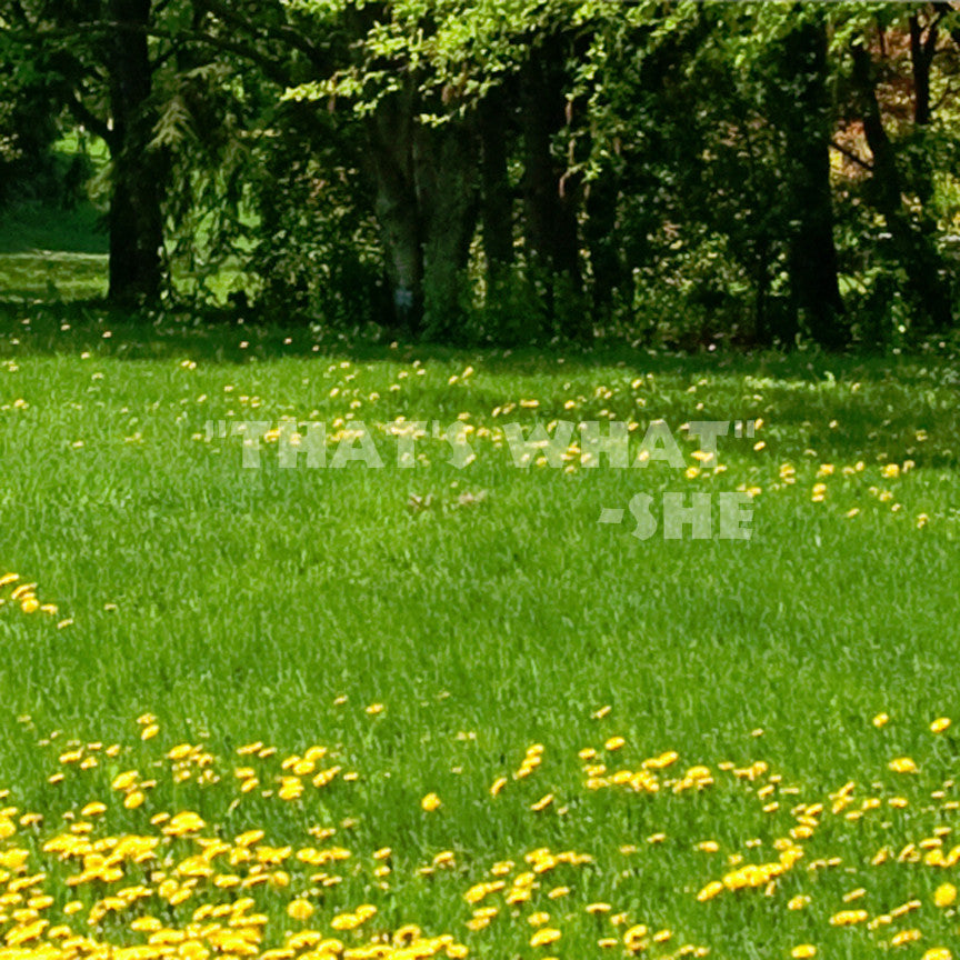 That's What She Said Quote