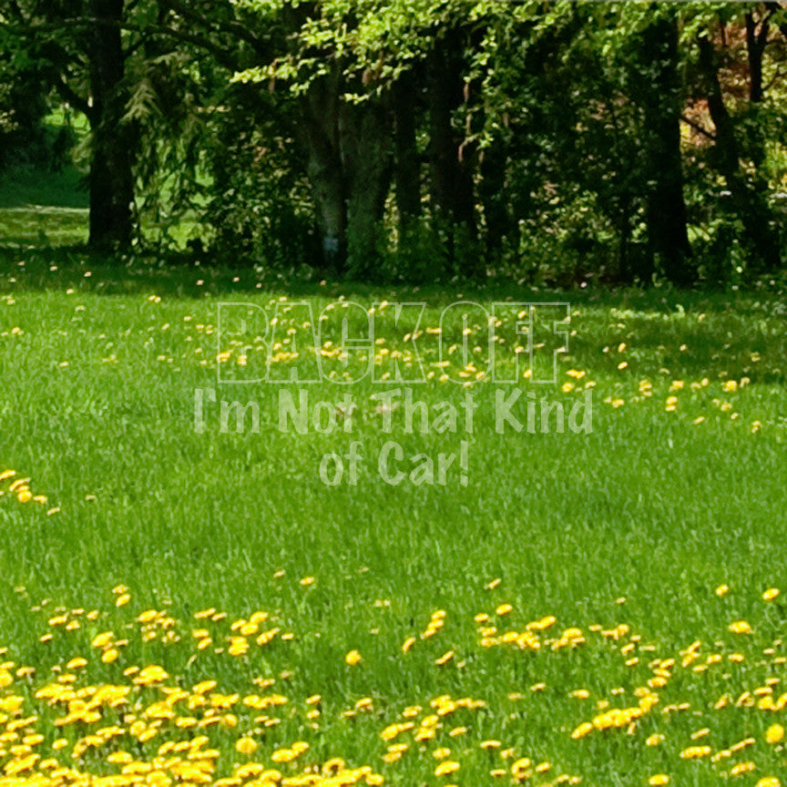 Back Off Not That Kind Of Car