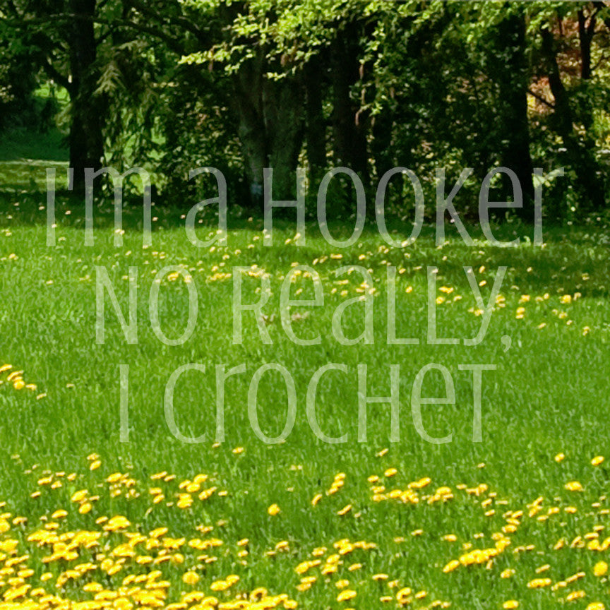 I'm A Hooker Crochet