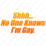 Shh No One Knows I'm Gay