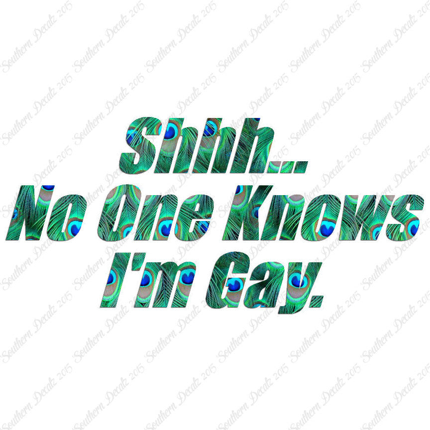 Shh No One Knows I'm Gay