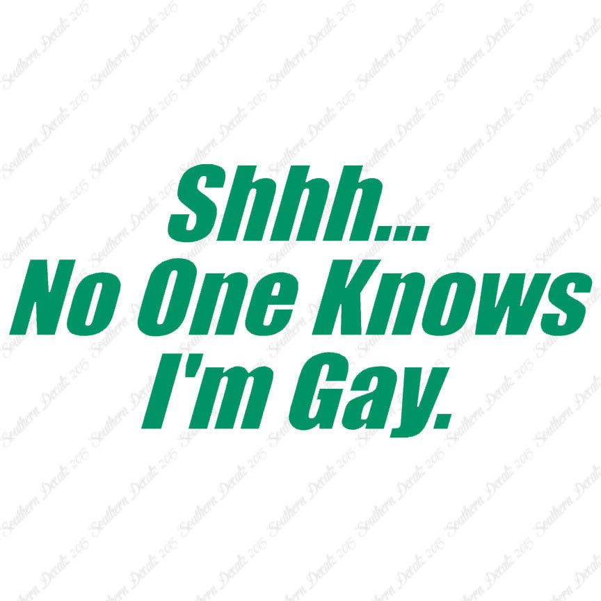 Shh No One Knows I'm Gay