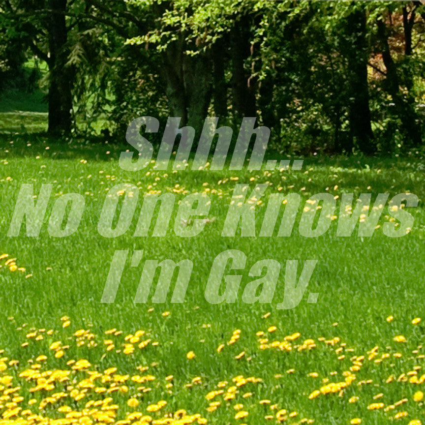 Shh No One Knows I'm Gay